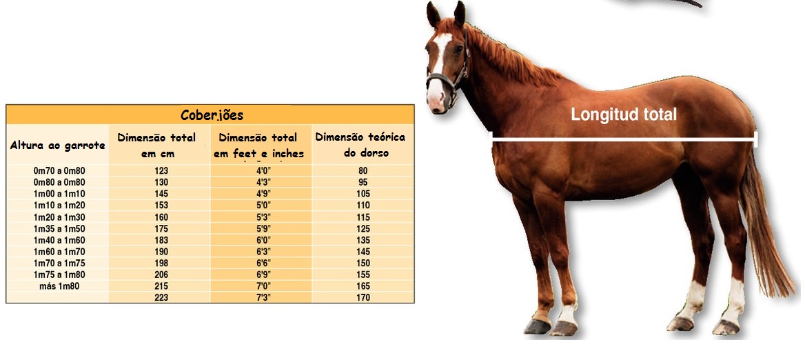 Tabela de medidas para coberhões ao lado de um cavalo castanho