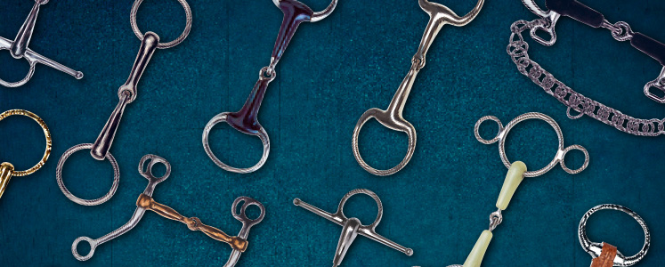 Vários bocais de equitação metálicos de diferentes tipos sobre fundo azul