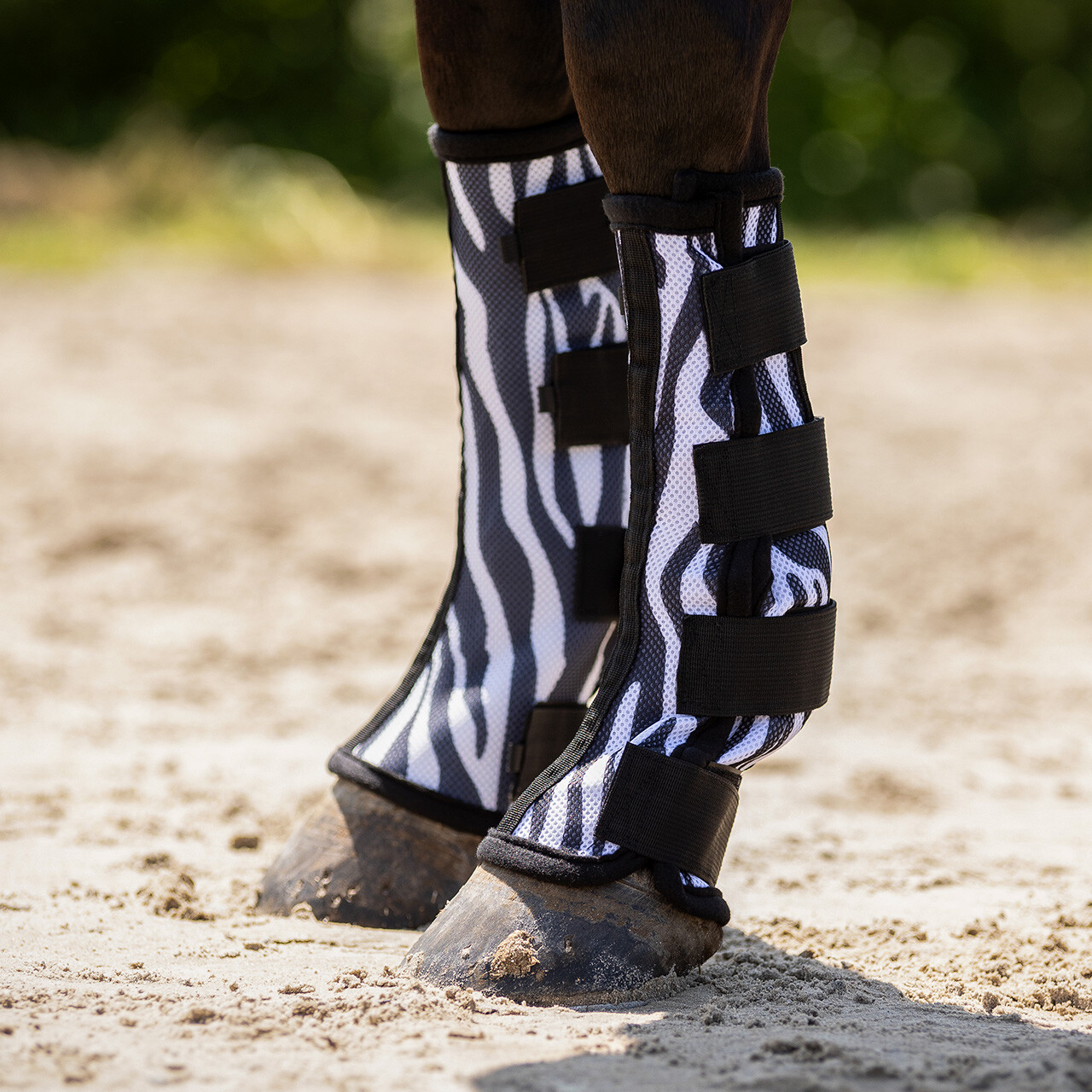 Protector de Membros Anti-Moscas QHP (Pack de 2) Proteções para pernas de cavalo padrão zebra com fechos de velcro em areia