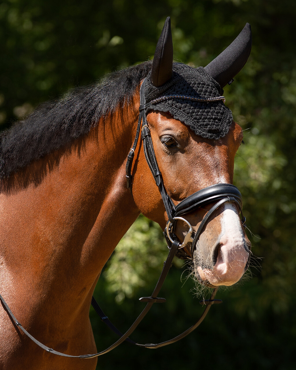 Orelheiras Antirruído QHP 'Flore' Cavalo castanho com bridão e touca preta de croché na cabeça em ambiente natural