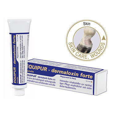 Pomada Cicatrizante EQUIPUR Dermaloxin Forte Tubo de creme EQUIPUR dermaloxin forte com embalagem azul, texto em alemão e selo com pata de cavalo e palavras Skin Care Wounds