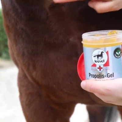 Gel Propolis Leovet sendo aplicado na pele de um cavalo