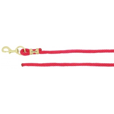 Trela para animais de corda vermelha com mosquetão dourado e detalhe metálico com texto