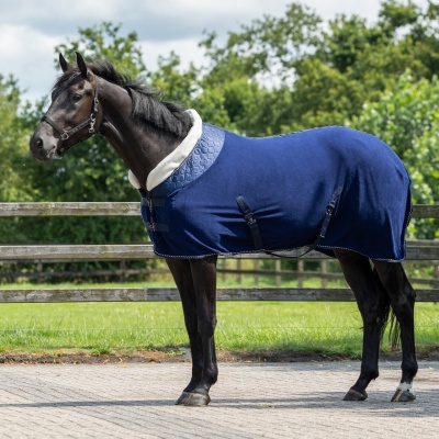 Cavalo com manta azul-roxa e forro branco ao ar livre