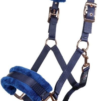 Cabresto para cavalo azul com pelúcia e ferragens douradas
