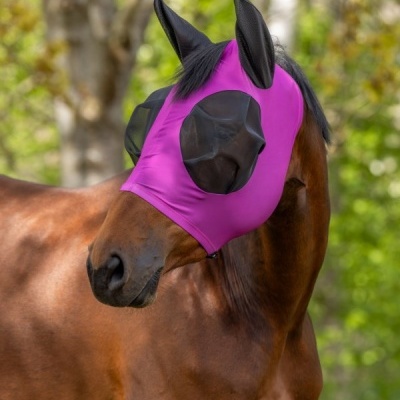 Cavalo castanho com máscara de proteção lilás e preto ao ar livre