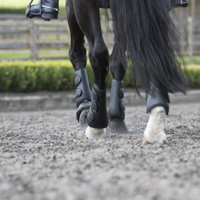Botas de proteção para patas de cavalo castanho escuro e patas brancas sobre solo de areia cinzenta