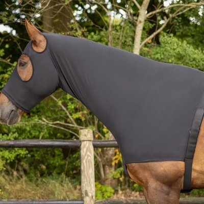 Cavalo com capa elástica preta cobrindo a cabeça e pescoço ao ar livre