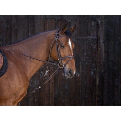Cavalo castanho com brida castanha contra fundo de madeira