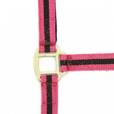 Correia rosa com listra preta e fivela dourada em fundo branco