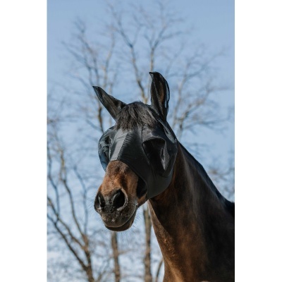 Cavalo castanho com manto preto na cabeça e céu azul ao fundo