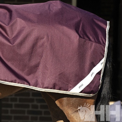 Manta de equitação roxa com borda branca sobre cavalo castanho