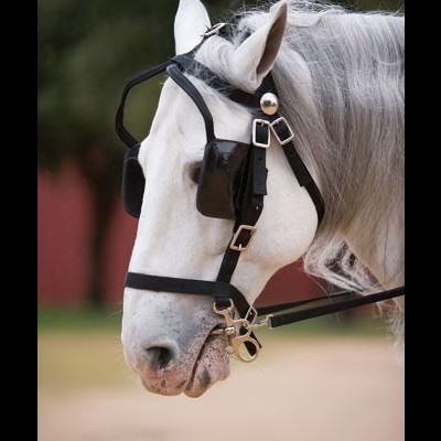 Cabeça de cavalo branco com venda preta e rênes em ambiente exterior