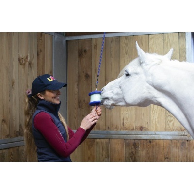 Mulher brinca com cavalo branco com brinquedo azul e branco numa box de madeira