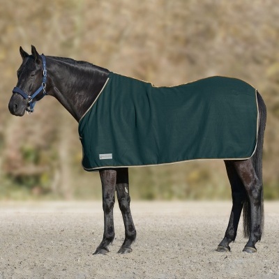 Cavalo preto com peitoral azul e manta verde escura com bordas bege