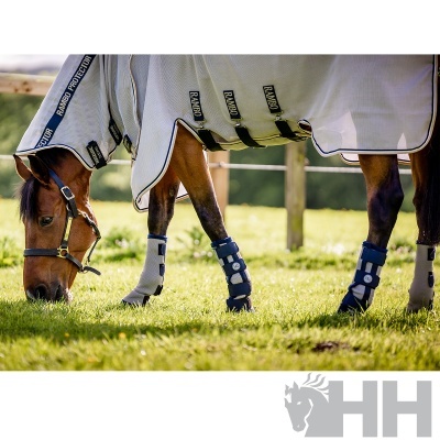 Cavalo com manta protetora branca e preta e botas azuis a pastar na relva