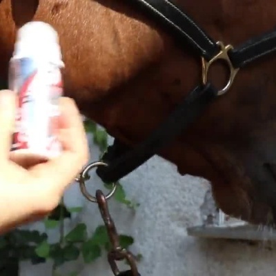 Pessoa aplicando spray num cavalo em várias partes do corpo.