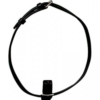 Coleira preta em couro com fivela metálica prateada