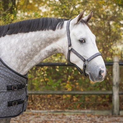 Cavalo branco com cabresto e manta cinza com padrão geométrico ao ar livre