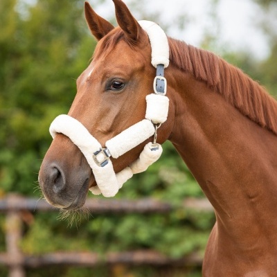 Cabresto branco de pelo sintético em cavalo castanho