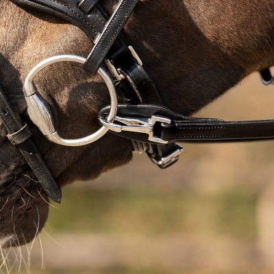 Bridão de couro preto com argola metálica numa cabeça de cavalo castanho