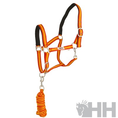Cabresto para cavalo laranja com corda laranja