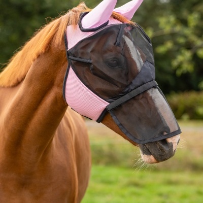 Cavalo com proteção facial rosa e preta ao ar livre