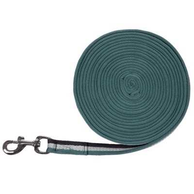 Trela azul-esverdeada enrolada com mosquetão metálico