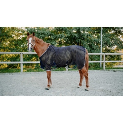 Cavalo com manta preta e bordas brancas junto a vedação de madeira e árvores.