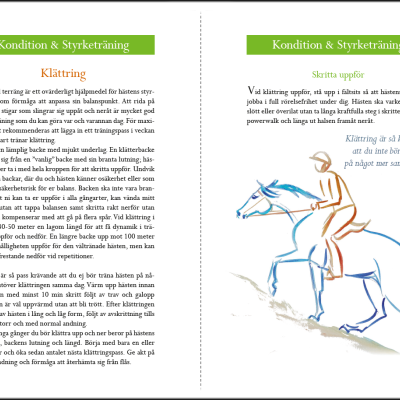 Página dupla de livro com texto em português sobre treino e ilustração azul de cavalo