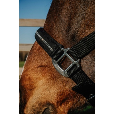 Halfter em nylon preto com fivela metálica em cavalo castanho