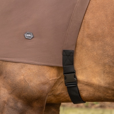 Cobertura castanha para cavalo com fivela preta e logótipo QHP