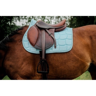 Sela castanha em couro sobre padiola azul claro em cavalo castanho