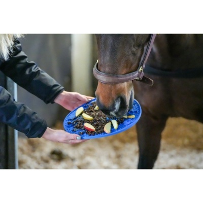 Prato azul com ração e fatias de maçã para cavalo