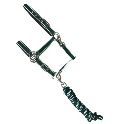 Cabresto para cavalo verde escuro com fivelas metálicas e corda verde com branco