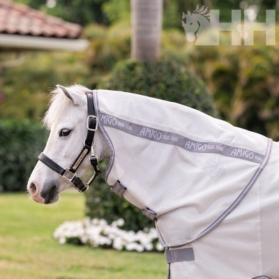 Cavalo branco com cobertor anti-insetos AMIGO BUG RUG e cabresto preto HORSEWARE
