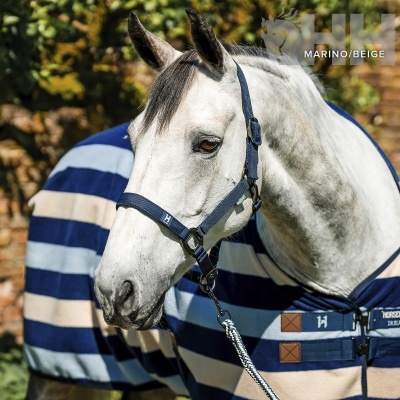 Cavalo cinzento claro com cabresto e cobertor às riscas azuis marinho e bege