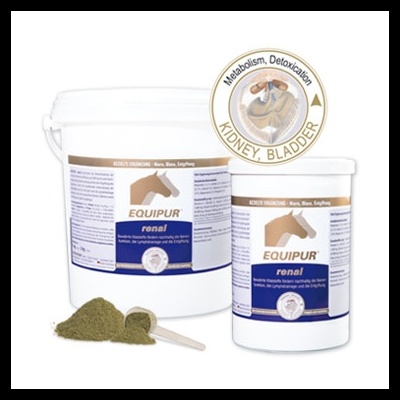 Recipientes brancos EQUIPUR com suplemento renal para cavalos e colher com pó verde