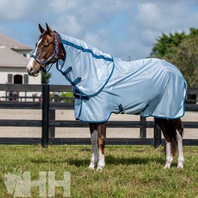 Cavalo com manta de proteção branca e azul num campo com vedação preta