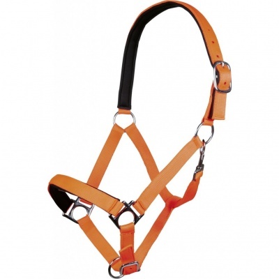 Cabresto em nylon laranja com almofada preta e fivelas metálicas