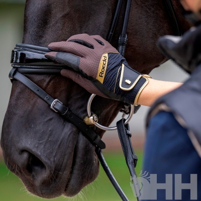 Luva de equitação Roeckl castanha e preta com detalhes amarelos numa mão que segura as rédeas de um cavalo preto.