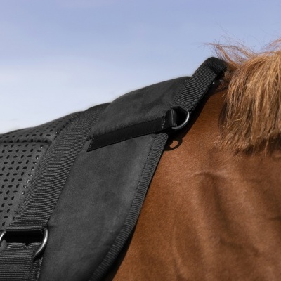 Sela preta em cavalo castanho com céu azul