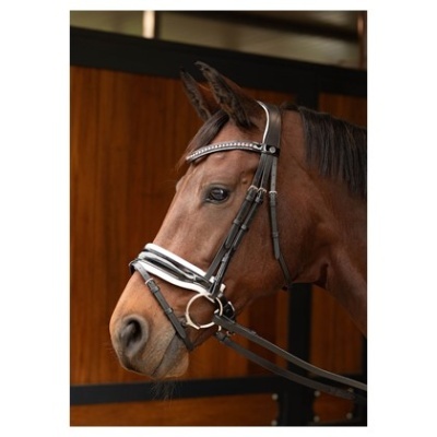 Cavalo castanho com cabresto preto e branco em estábulo de madeira
