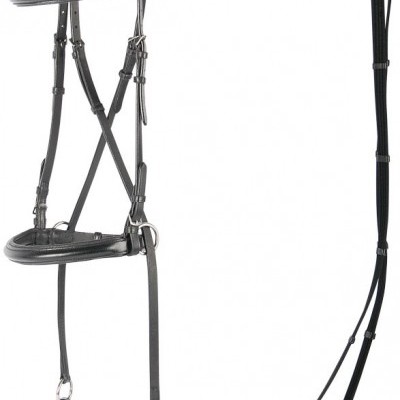 Bridão de equitação em cabedal preto com vários detalhes metálicos