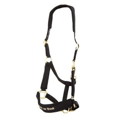 Cabresto preto para cavalo com detalhes dourados e acolchoamento em tecido