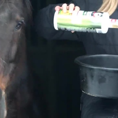 Pessoa segura garrafa de suplemento Biotin Plus para cavalos e cavalo bebe do balde preto