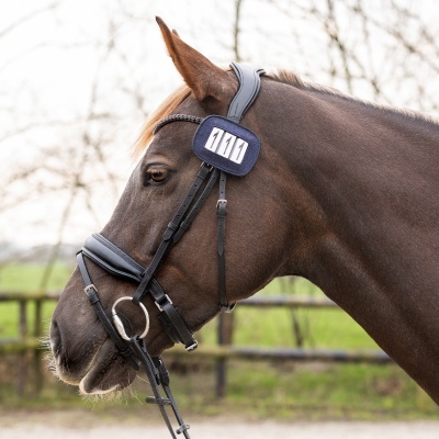 Cabeça de cavalo castanho com rédea preta e placa número 1111.