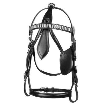 Bridão de cavalo em couro preto com detalhes metálicos