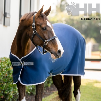 Cavalo castanho com manta azul de manta para cavalo
