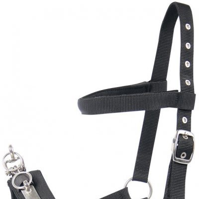 Cabresto preto com fivelas metálicas para cavalo